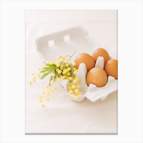 Eggs And Mimosas 1 Canvas Print