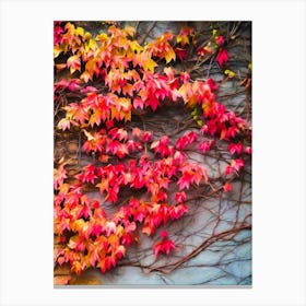 Autumn Splendour Canvas Print