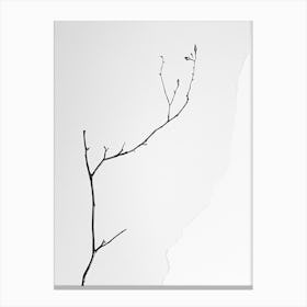 Bare Branch Canvas Print