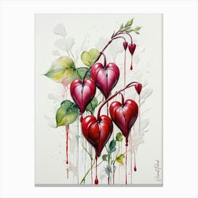 Bleeding Heart Flowers 2. Canvas Print