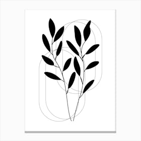 Eucalyptus Leaves 4 Canvas Print