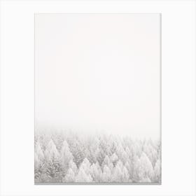 Winter Forest Scenery Canvas Print