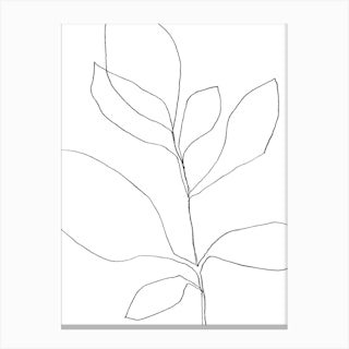 7 Leaf Plant Canvas Print
