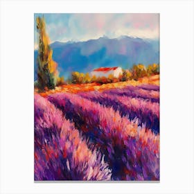 Oil Painting Lavender Field 1 Canvas Print