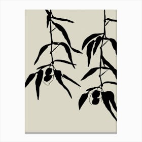 Olive Twigs Canvas Print