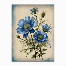 Blue Cosmos 2 Canvas Print