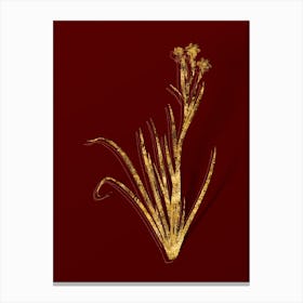 Vintage Bermudiana Botanical in Gold on Red Canvas Print