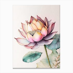Lotus Flower Pattern Watercolour Ink Pencil 2 Canvas Print