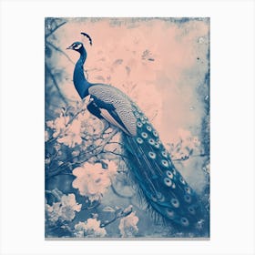 Peacock In The Meadow Cyanotype Inspired 3 Canvas Print
