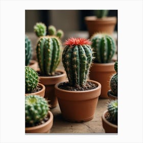 Cactus 4 Canvas Print