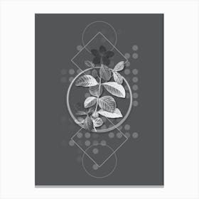 Vintage Gardenia Botanical with Line Motif and Dot Pattern in Ghost Gray n.0274 Canvas Print