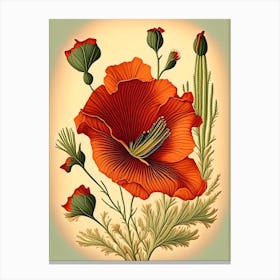 Desert Poppy Wildflower Vintage Botanical 1 Canvas Print