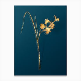 Vintage Gladiolus Ringens Botanical in Gold on Teal Blue Canvas Print