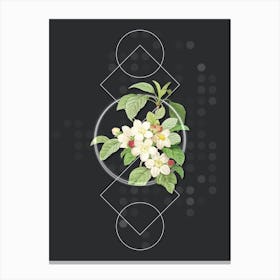 Vintage Apple Blossom Botanical with Geometric Line Motif and Dot Pattern n.0270 Canvas Print