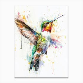 Hummingbird Colourful Watercolour 3 Canvas Print