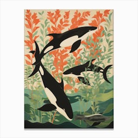 Orca Whales Swimming With Seaweed 3 Canvas Print