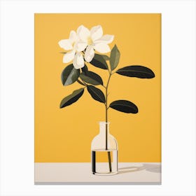 Magnolia 1 Canvas Print