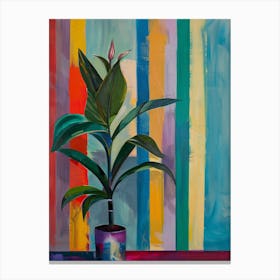 Potted Plant Canvas Print