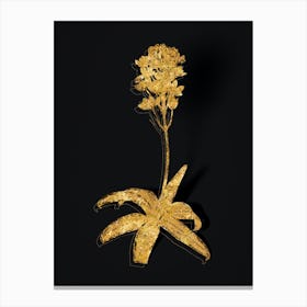Vintage Sun Star Botanical in Gold on Black Canvas Print