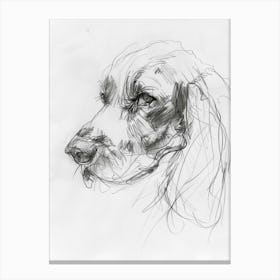 Cocker Spaniel Dog Charcoal Line 3 Canvas Print