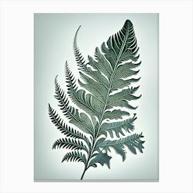 Silver Cloak Fern Vintage Botanical Poster Canvas Print