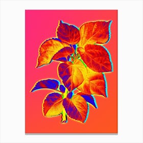 Neon White Mulberry Plant Botanical in Hot Pink and Electric Blue n.0272 Canvas Print