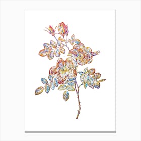 Stained Glass Austrian Briar Rose Mosaic Botanical Illustration on White n.0147 Canvas Print