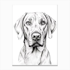 Rhodesian Ridgeback Dog, Line Drawing 1 Canvas Print