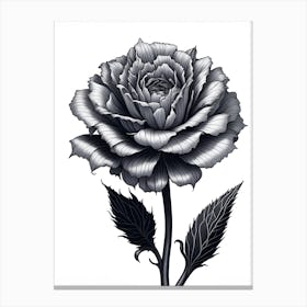 A Carnation In Black White Line Art Vertical Composition 8 Canvas Print