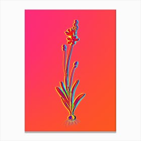 Neon Mossel Bay Tritonia Botanical in Hot Pink and Electric Blue n.0043 Canvas Print