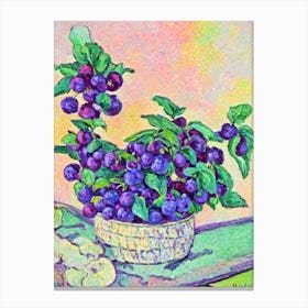 Marionberry Vintage Sketch Fruit Canvas Print