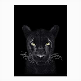 Panther on Black Canvas Print