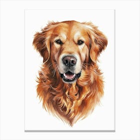 Golden Retriever 3 Canvas Print