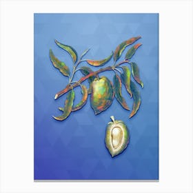 Vintage Almond Botanical Art on Blue Perennial Canvas Print