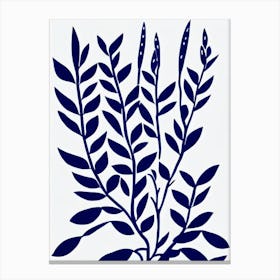 Kalanchoe Thyrsiflora Stencil Style Plant Canvas Print