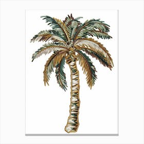 Palm Tree 37 Canvas Print