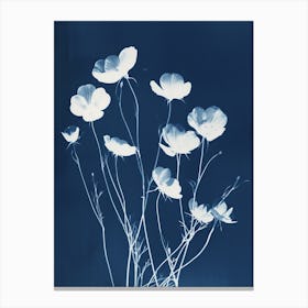 Anem VI Canvas Print