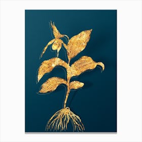 Vintage Yellow Lady's Slipper Orchid Botanical in Gold on Teal Blue n.0014 Canvas Print