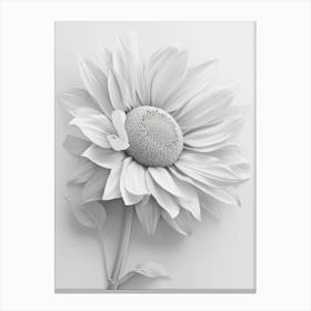 white Sunflower Canvas Print