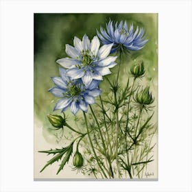 Blue Cosmos 4 Canvas Print