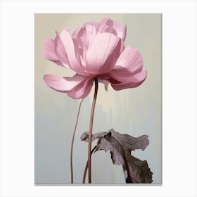 Floral Illustration Cyclamen 2 Canvas Print