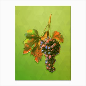 Vintage Raisin Grape Botanical Art on Love Bird Green n.0484 Canvas Print