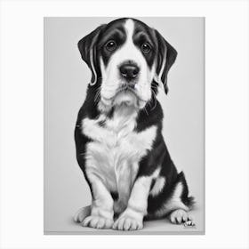 Petit Basset Griffon Vendeen B&W Pencil dog Canvas Print