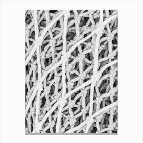 Black And White Netting maritime net Canvas Print