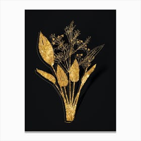 Vintage European Water Plantain Botanical in Gold on Black n.0202 Canvas Print