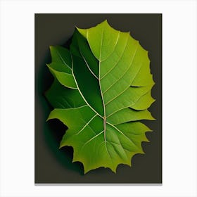 Walnuts Leaf Vibrant Inspired 1 Canvas Print