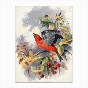 Vintage Painting Red-Winged Blackbird Canvas Print