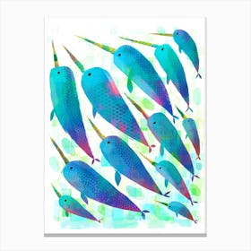 A Blessing Of Narwhals Canvas Print