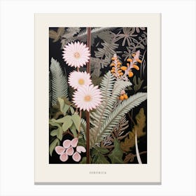 Flower Illustration Veronica 3 Poster Canvas Print