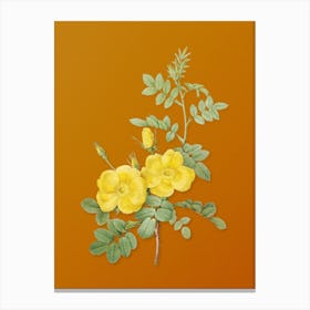 Vintage Yellow Sweetbriar Roses Botanical on Sunset Orange n.0211 Canvas Print